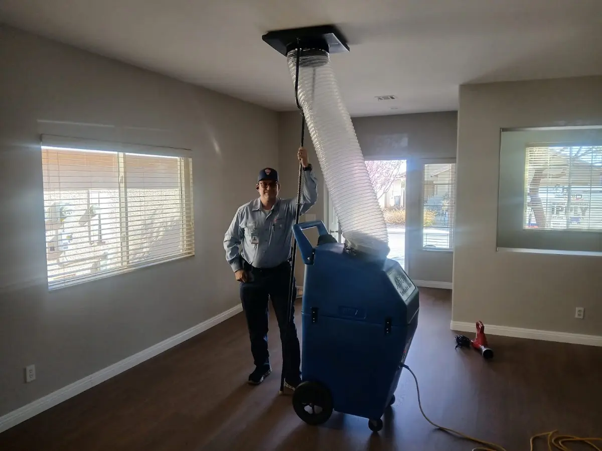 Professional Dryer Vent Cleaning work inside a Homeland Park home
